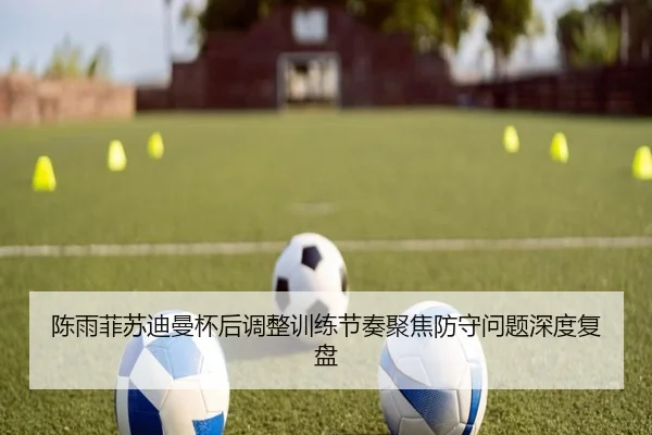 陈雨菲苏迪曼杯后调整训练节奏聚焦防守问题深度复盘